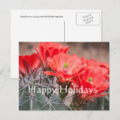 Igel Cactus, Happy Holidays Feiertagspostkarte (Vorne/Hinten)