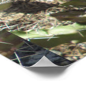 Igel Cactus Poster (Ecke)