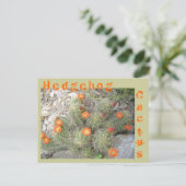 Igel Cactus Postkarte (Stehend Vorderseite)