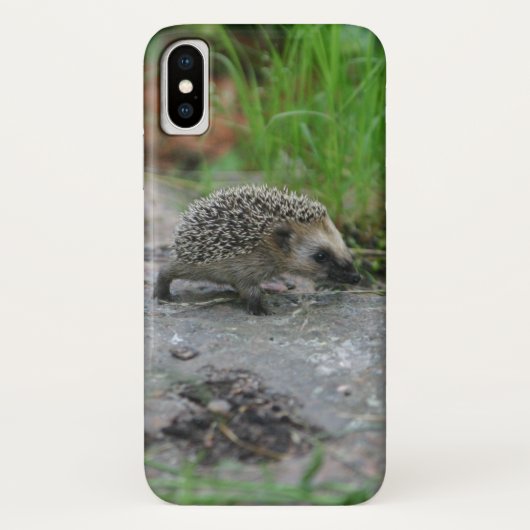 Igel Case-Mate iPhone Hülle (Rückseite)