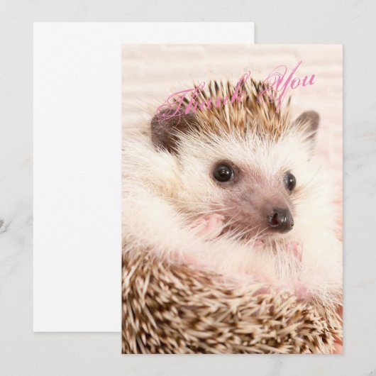 Igel Dankeschön Karte (Vorne/Hinten)