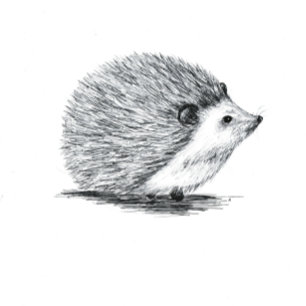 Igel Dankeschön Karte