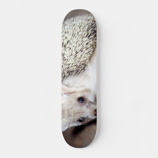 Igel - Das spiny Säugetier Skateboard (Vorderseite)