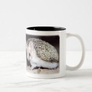 Igel - das stachelige Säugetier Zweifarbige Tasse