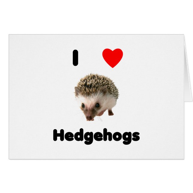 Igel der Liebe I (Vorderseite (Horizontal))