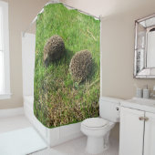 Igel Duschvorhang (Beispiel)