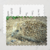 Igel Einladung (Vorne/Hinten)