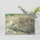 Igel Einladung (Stehend Vorderseite)