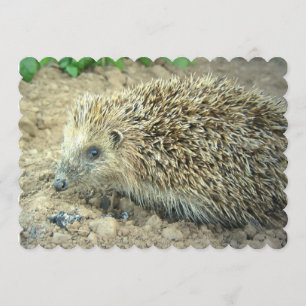 Igel Einladung