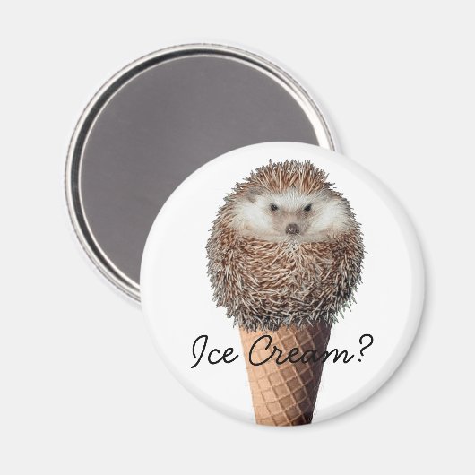 Igel Eiscreme Magnet (Vorderseite/Rückseite)