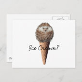 Igel Eiscreme Postkarte (Vorne/Hinten)