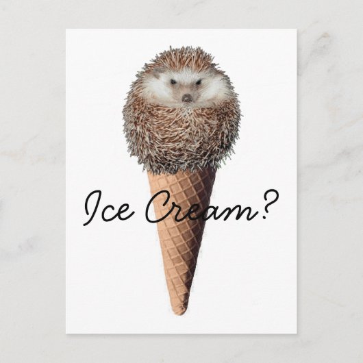 Igel Eiscreme Postkarte (Vorderseite)