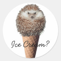 Igel Eiscreme