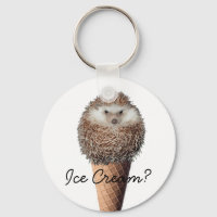 Igel Eiscreme