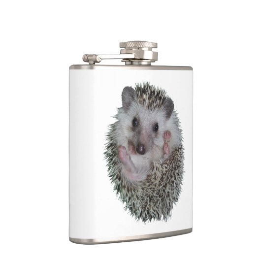 Igel Flachmann (Rechts)