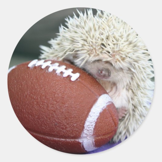 Igel Football Runder Aufkleber (Vorderseite)