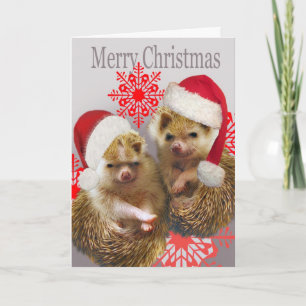 Igel Frohe Weihnachtskarten Feiertagskarte