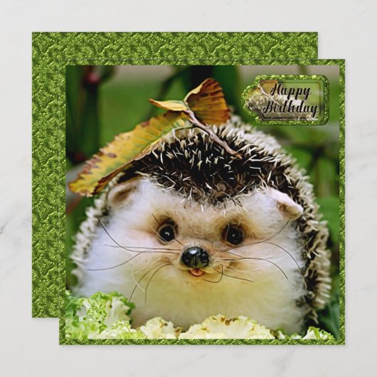 Igel Geburtskarte Dankeskarte (Vorne/Hinten)