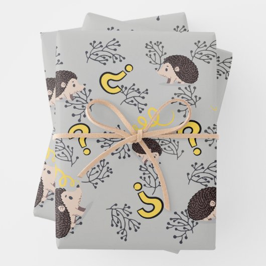 Igel Geschenkpapier Set (Beispiel)