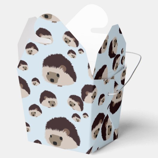 Igel Geschenkschachtel (Geöffnet)