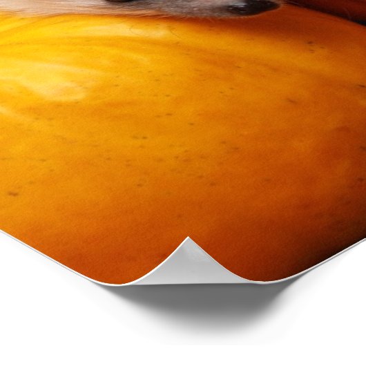 Igel Halloween Poster (Ecke)