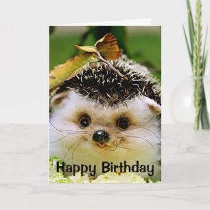 Igel Happy Birthday Grußkarte Karte
