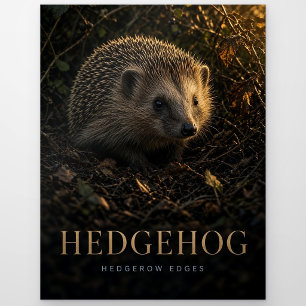 Igel Heckenränder Wildtiere TIER Postkarte