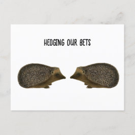 Igel heiraten - Funny Igel Hochzeit Postkarte
