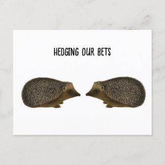 Igel heiraten - Funny Igel Hochzeit Postkarte