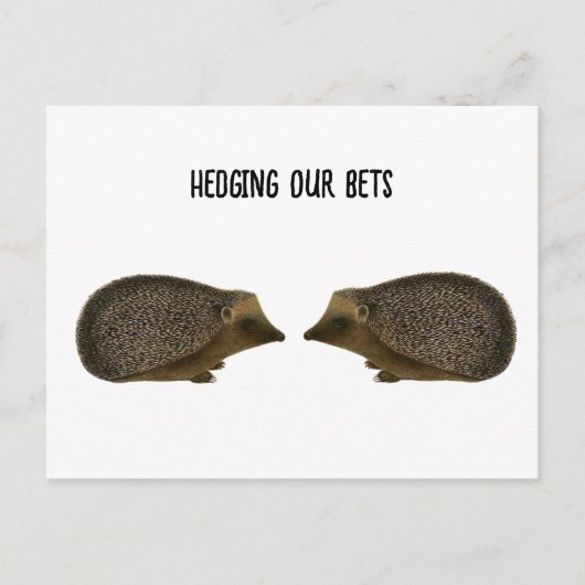 Igel heiraten - Funny Igel Hochzeit Postkarte (Vorderseite)