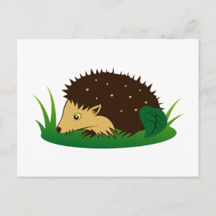 Igel Igel Postkarte