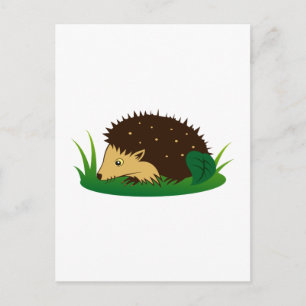 Igel Igel Postkarte