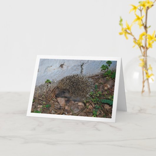 Igel im Gartenportrait Karte (Gelbe Blume)