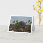 Igel im Gartenportrait Karte (Gelbe Blume)