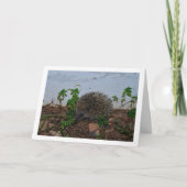 Igel im Gartenportrait Karte (Vorderseite)