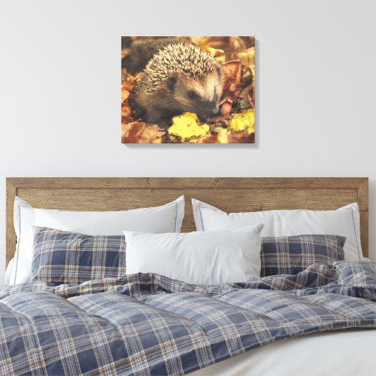 Igel im Herbst Leinwanddruck (Insitu (Schlafzimmer))