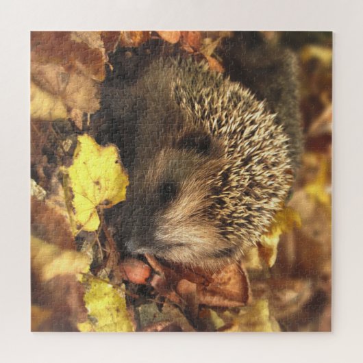 Igel im Herbst Puzzle (Horizontal)