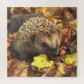 Igel im Herbst Puzzle (Vertikal)