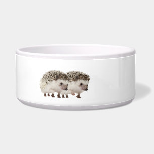 Igel-Image für große Haustierboxen Napf