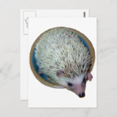 Igel in der Disc-Postkarte Postkarte (Vorne/Hinten)