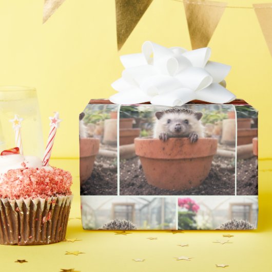 Igel in einem Tongefäß Geschenkpapier (Geburtstagsparty)