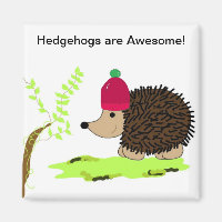 Igel in einer Roten Szene