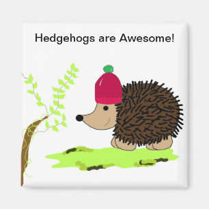 Igel in einer roten Toque Magnet