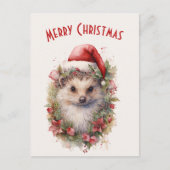 Igel in einer Weihnachtsmannmütze Red Poinsettia W Postkarte (Vorderseite)