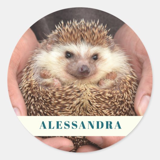 Igel in Hands-Foto Runder Aufkleber (Vorderseite)