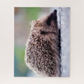 Igel in Natur, Jigsaw Puzzle (Vertikal)