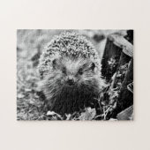 Igel in Schwarz/Weiß, Jigsaw Puzzle (Horizontal)