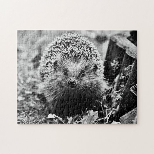 Igel in Schwarz/Weiß, Jigsaw Puzzle (Horizontal)