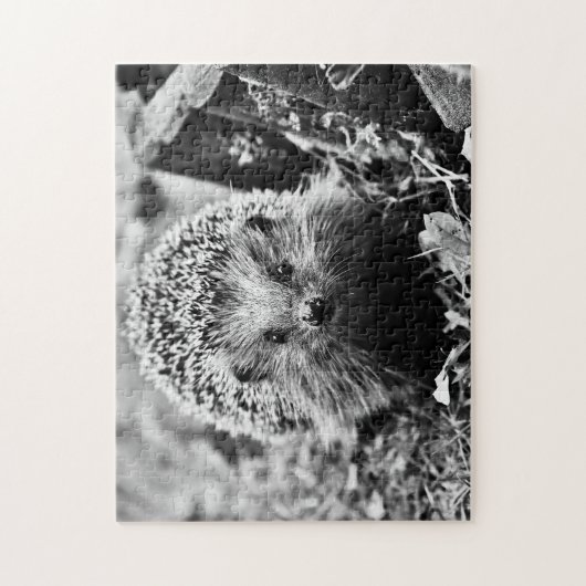 Igel in Schwarz/Weiß, Jigsaw Puzzle (Vertikal)