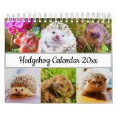 Igel Kalender (Titelbild)